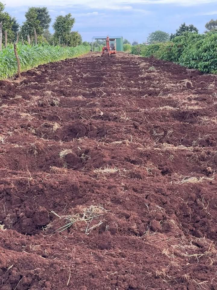 Đất nền Cư M'gar 4320m² - Mặt tiền đường Phan Bội Châu, giá tốt!