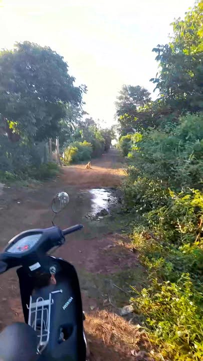 Đất ở Chư Sê 100m² giá 900 triệu - Sổ đỏ chính chủ, đầu tư sinh lời!