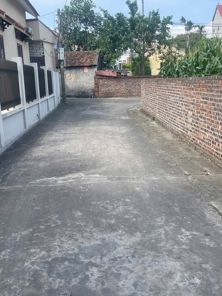 Đất nền An Thịnh - Lương Tài - Bắc Ninh 85m² - Đầu tư tuyệt vời!