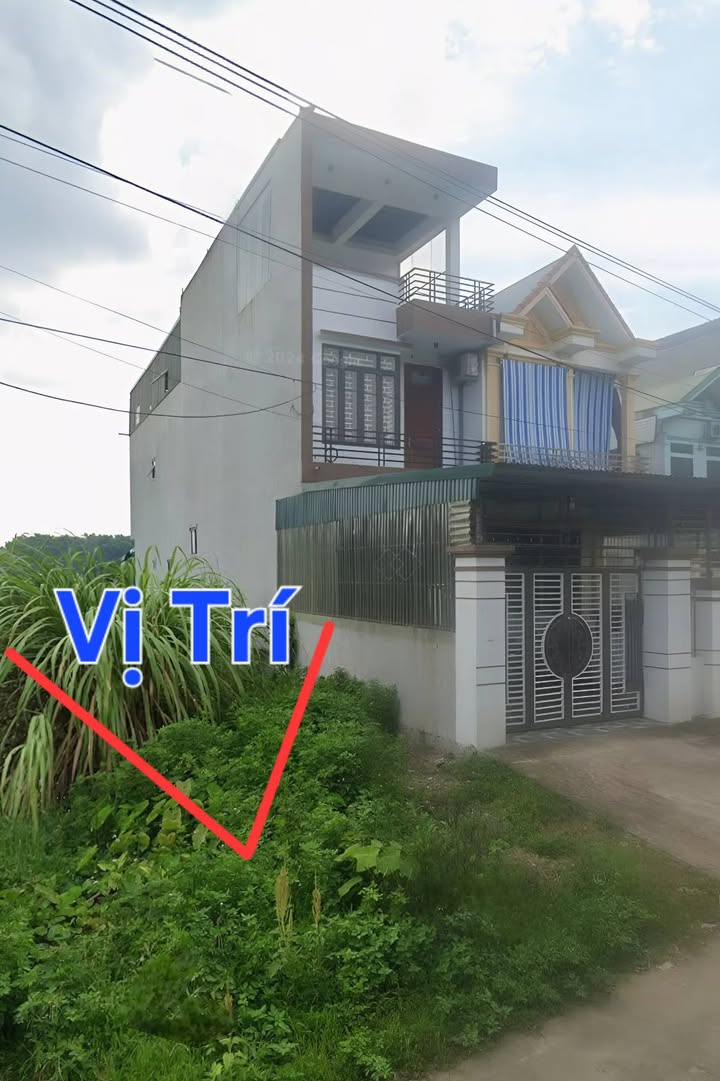 Đất nền Phú Lộc, Nho Quan 125m² giá 1 tỷ - Vị trí đắc địa gần trường học!