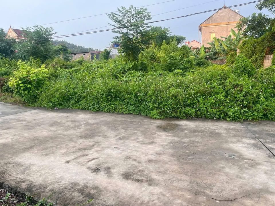 Đất nền khu dân cư văn hóa Cầu Quan, Chí Linh 60m² giá 650 triệu - Đường ô tô vào tận nơi!