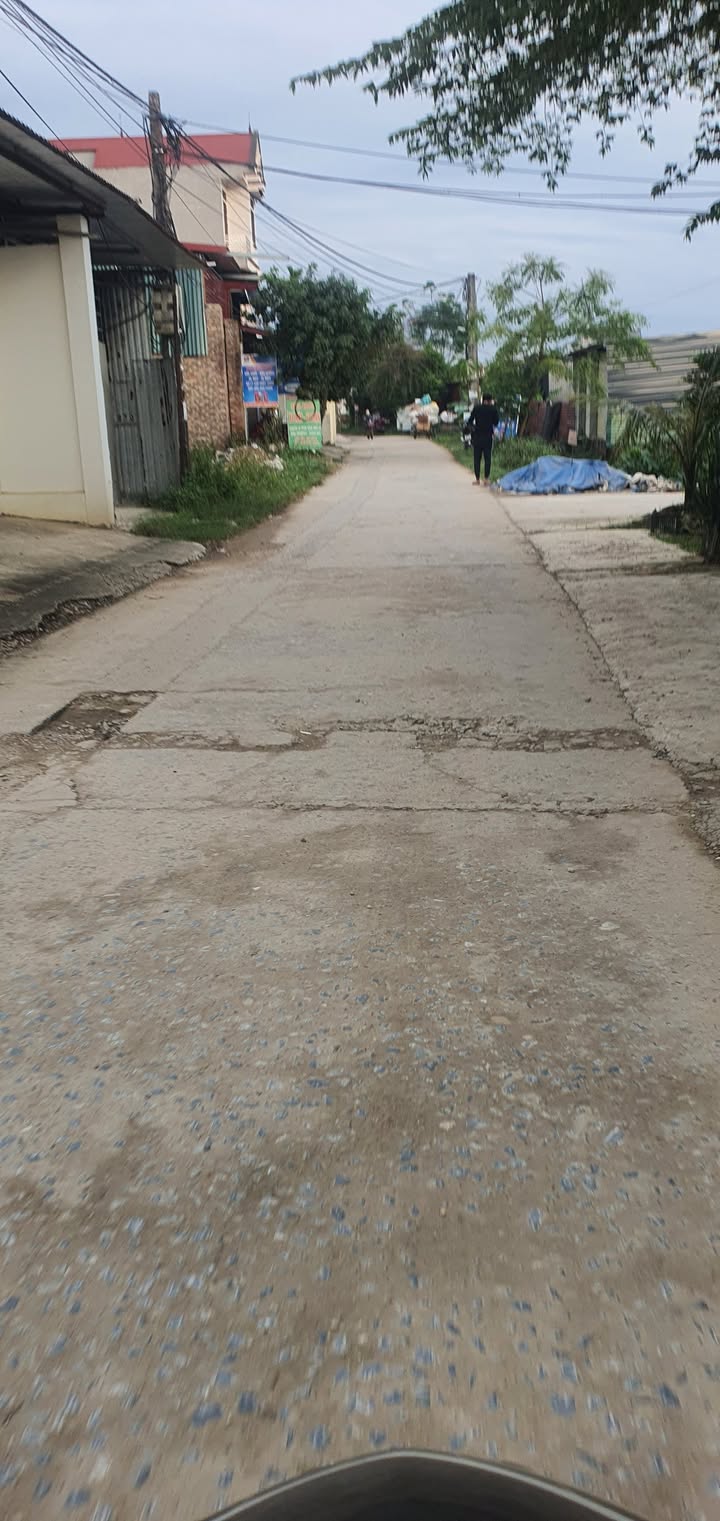 Đất nền đẹp tại Tân Hưng, Sóc Sơn, diện tích 222m² chỉ 6 triệu/m² - Cơ hội đầu tư hấp dẫn!