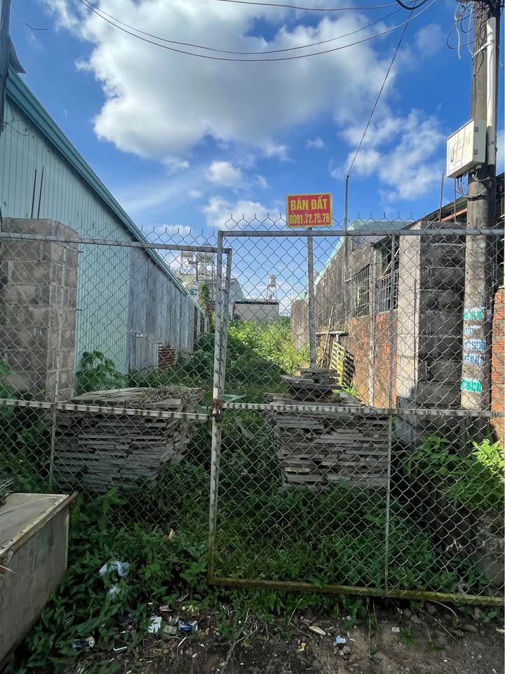 Đất thổ cư 361m² đường Lê Thánh Tôn, Pleiku - Chính chủ cần bán gấp!