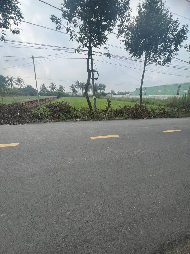 Đất nền 1100m² tại xã Lương Hoà, Bến Lức - Giá chỉ 5.999 tỷ!