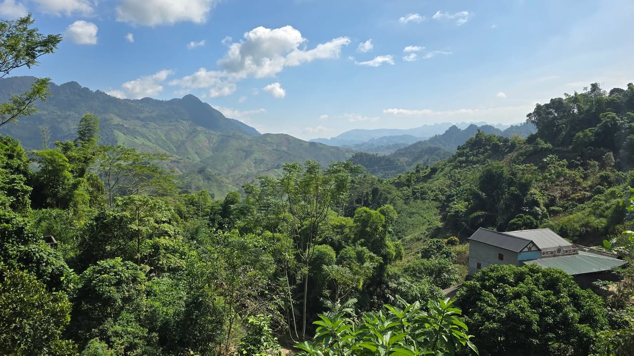 Đất thổ cư Mộc Châu 5000m² giá 1 tỷ - Tiềm năng đầu tư sinh lời cao!