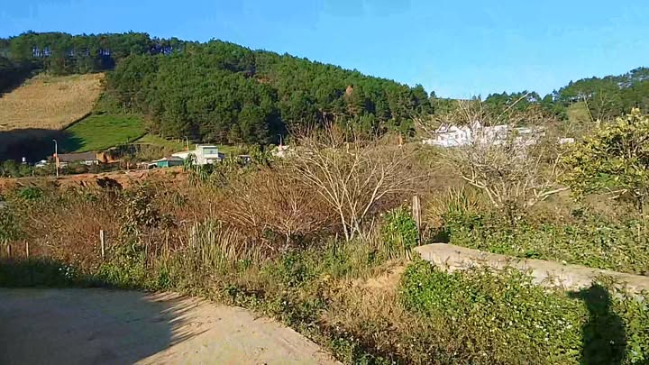 Đất chè view đẹp Bó Nhàng 2, Sơn La 1000m² - Tiềm năng nghỉ dưỡng lý tưởng!