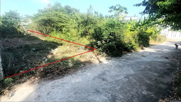 Đất thổ cư Thôn 3, Diên An 116.9m² giá 1.864 tỷ - Sổ hồng chính chủ, ô tô vào tận nơi!