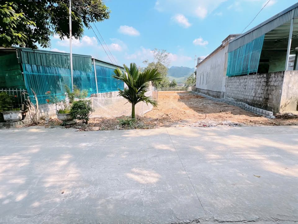 Đất nền An Nghĩa Phú Thọ 430m² giá 1.75 tỷ - Tiềm năng đầu tư vượt trội!