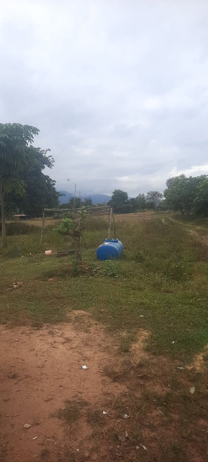 Đất nền Tân Minh, Hàm Tân 15.000m² giá 9,5 tỷ - Đầu tư sinh lời ngay!