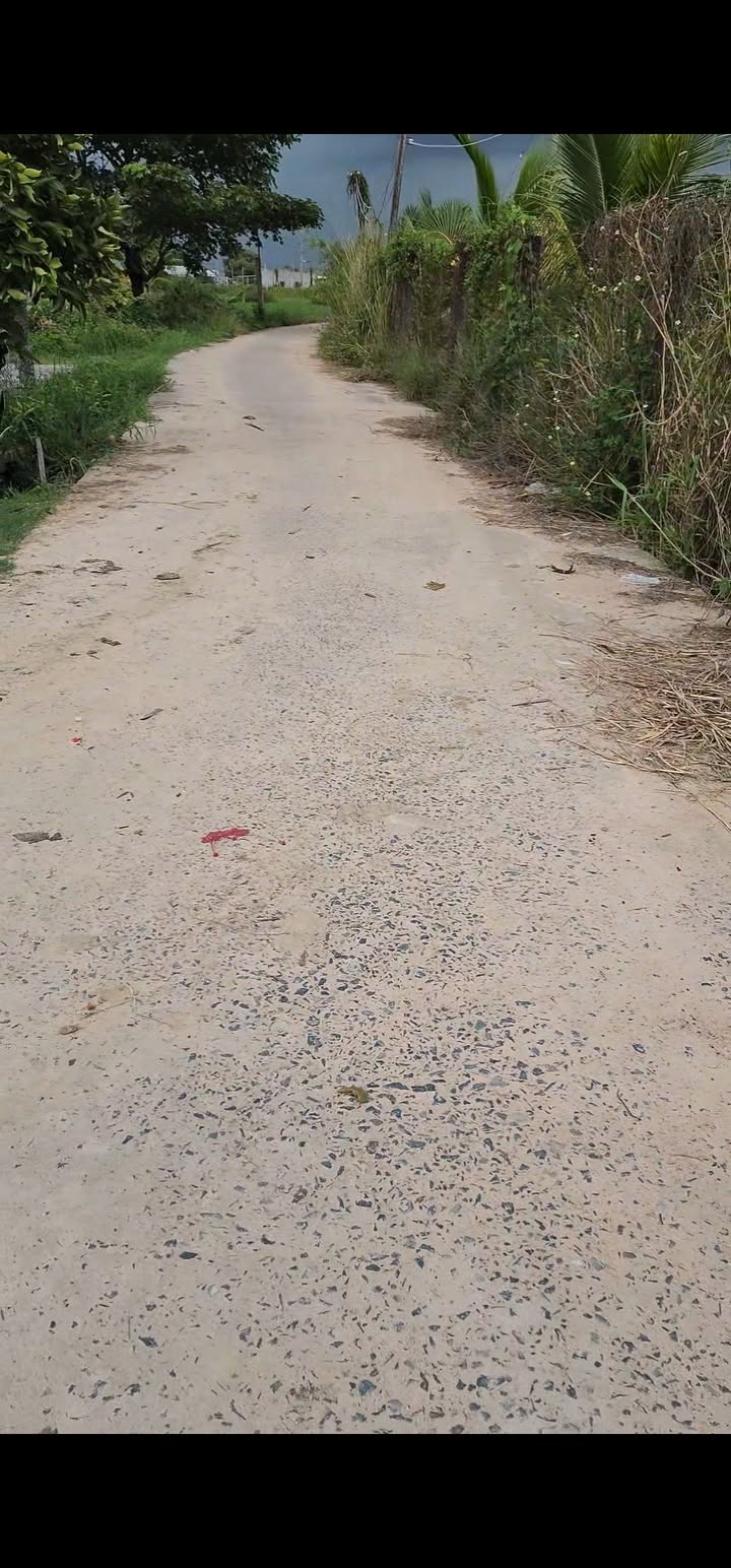 Đất nền 170m² Hàm Chính giá chỉ 600 triệu - Cơ hội đầu tư tuyệt vời!