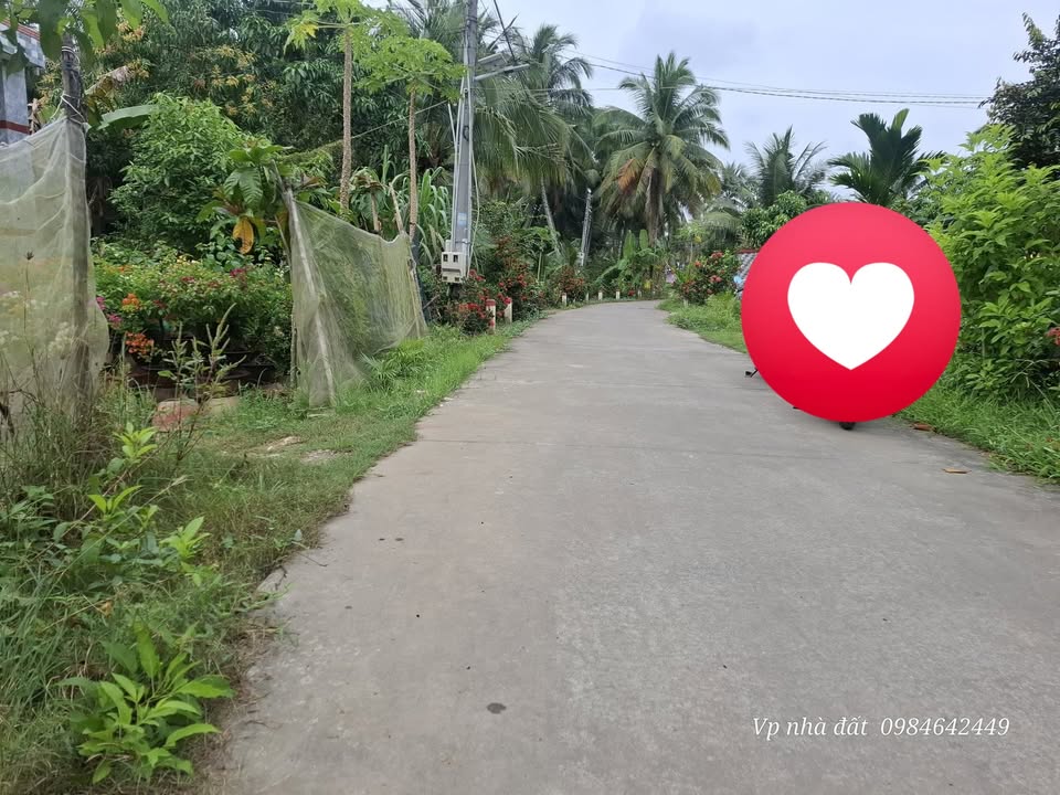 Đất nền Phước Mỹ Trung, Mỏ Cày Bắc 150m² - Đầu tư sinh lời ngay!