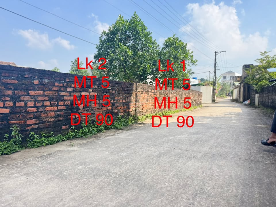 Đất nền Hồng Sơn, Mỹ Đức, Hà Nội 90m² giá 2 tỷ - Cơ hội đầu tư tuyệt vời!