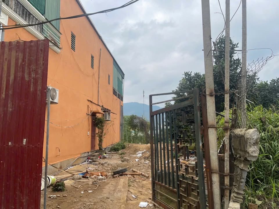 Đất nền Dân Chủ Hòa Bình 378.5m² giá chỉ 1.1 tỷ - Sổ đỏ chính chủ