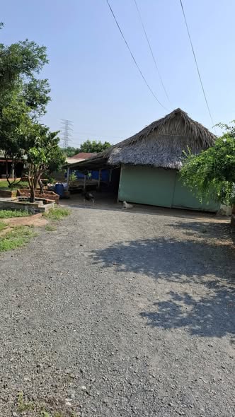 Đất nền Tân Phú Trung, Củ Chi 1423m² - Bán gấp giá tốt