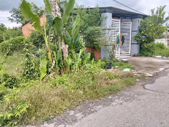 Nhà 2 căn và đất trống tại Ấp Đồng Lớn, Củ Chi, 530m² - Bán gấp chỉ 2 tỷ