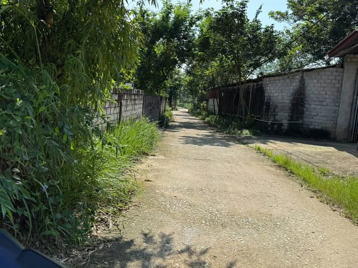 Đất nền Bồ Lý, Tam Đảo 100m² chỉ 300 triệu - Cơ hội đầu tư tuyệt vời!