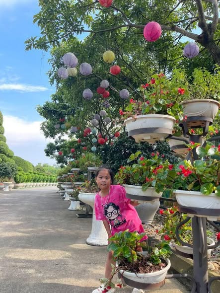 Đất nền Lan Giới, Tân Yên từ 120m² giá 1.1 tỷ - Đầu tư sinh lời chắc chắn!