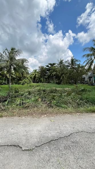 Đất vườn 340m² tại ấp 8, An Ngãi Trung, Ba Tri chỉ 300 triệu - Cơ hội đầu tư tuyệt vời!