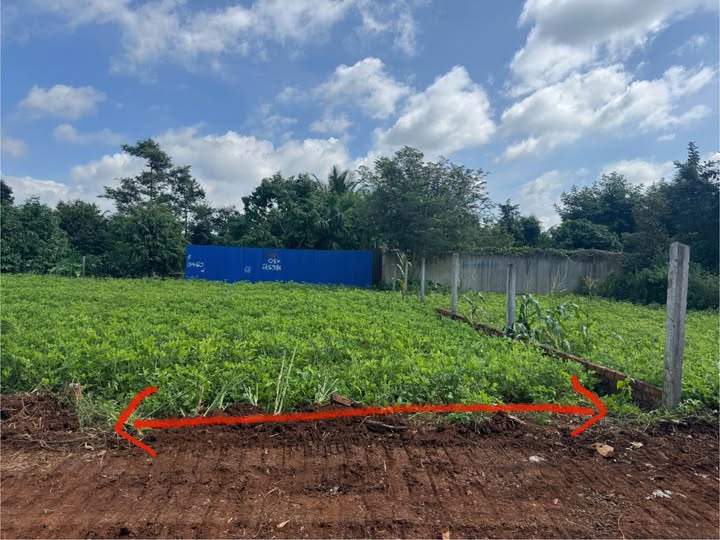 Đất thổ cư Ea Tu 120m² giá 1.49 tỷ - Đầu tư sinh lời tuyệt vời!