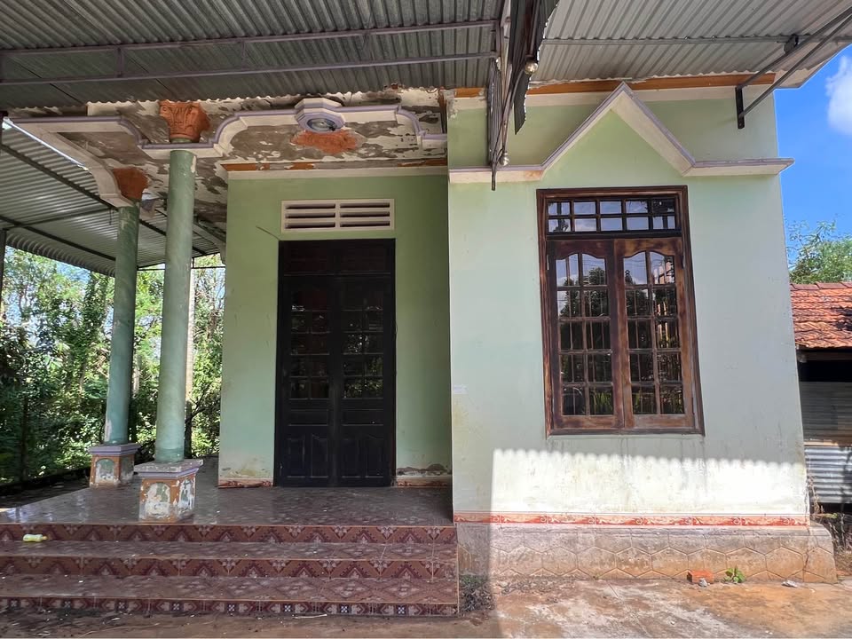 Đất mặt đường bê tông Phú Xuân, Krông Năng, 1ha giá 2.3 tỷ - Sổ đỏ chính chủ!