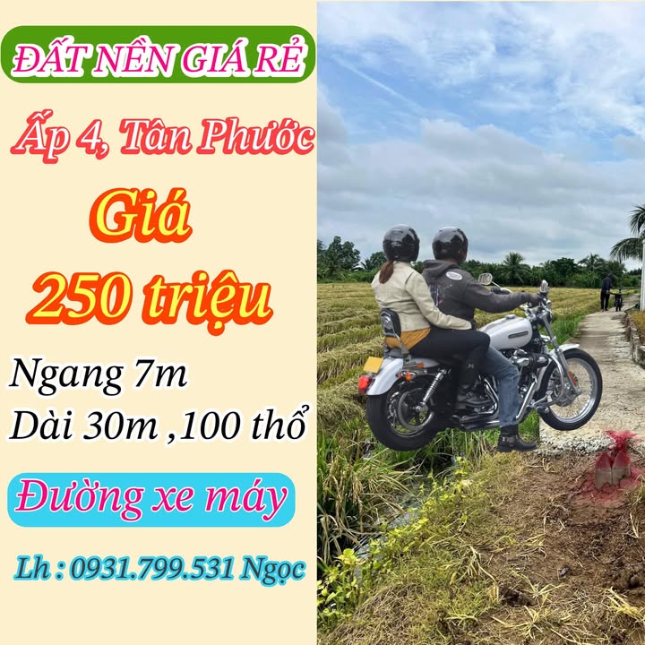 Đất nền Tân Phước, Gò Công Đông 100m² giá 250 triệu - Sổ đỏ chính chủ, xây nhà ngay!