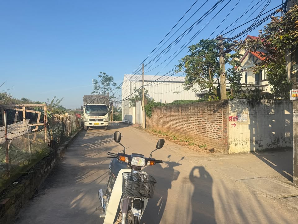 Đất thổ cư Hoàng Kim, Mê Linh 100m² giá 4 tỷ - Đầu tư sinh lời!