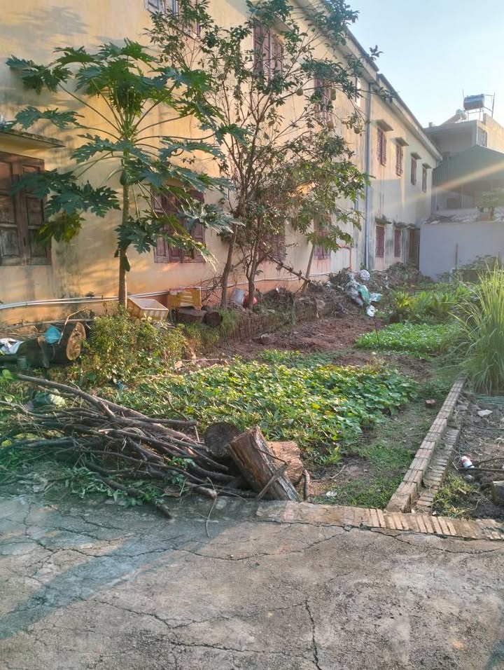 Lô đất Minh Trí, Sóc Sơn 100m² - Chính chủ bán, giá thương lượng!