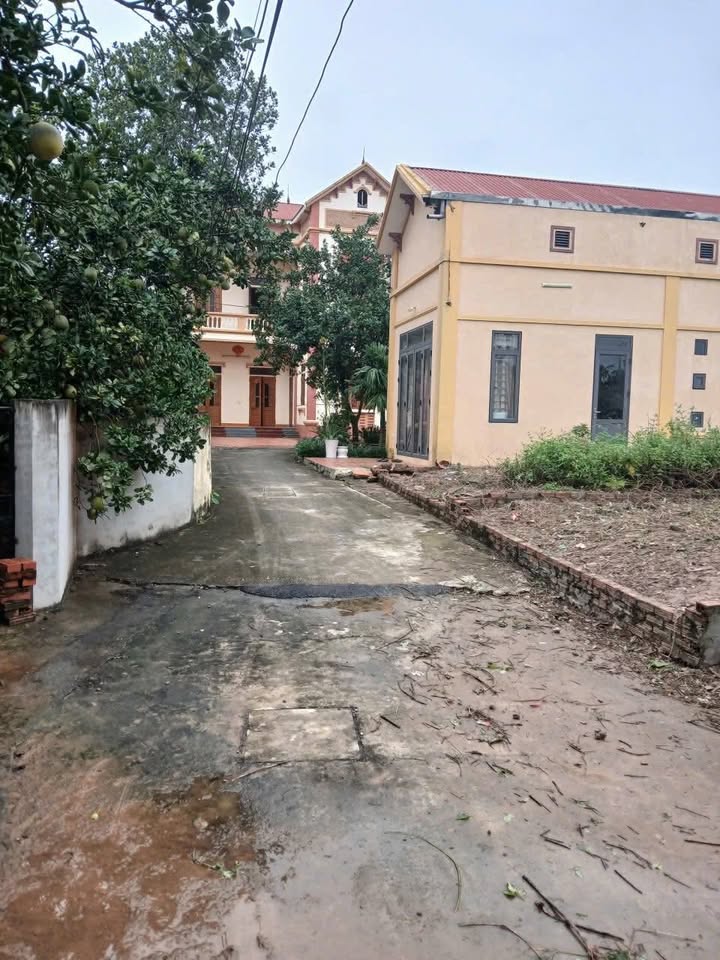 Đất nền Đông Cao, Mê Linh 76.8m² giá chỉ 3 tỷ - Cơ hội đầu tư hấp dẫn!