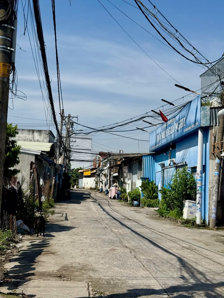 Đất nền Đông Thạnh Hóc Môn 116.6m² giá 3.45 tỷ - Đầu tư cực đẹp!