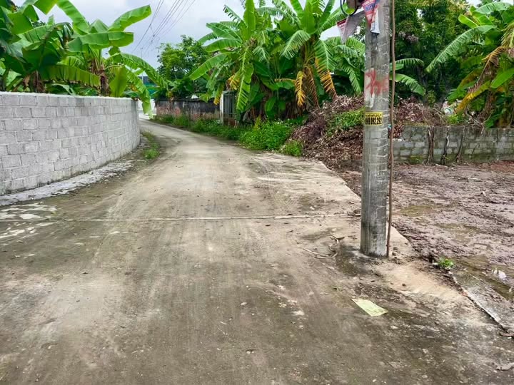 Đất nền Bát Trang Hải Phòng 100m² chỉ 590 triệu - Tiềm năng tăng giá mạnh!