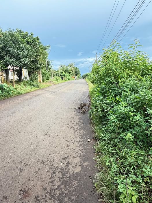 Đất nền mặt đường Y Wang, Ea Kao, Buôn Ma Thuột 300m² giá 1.32 tỷ - Đầu tư sinh lời ngay!