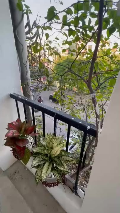 Căn hộ Tập Thể Quỳnh Mai 85m² giá 5.09 tỷ - Nhà đẹp như chung cư cao cấp!