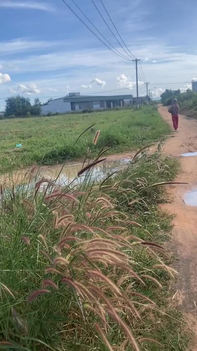 Đất thổ cư Đăk Hring, Đăk Hà 270m² giá chỉ 300 triệu - Sổ hồng chính chủ!