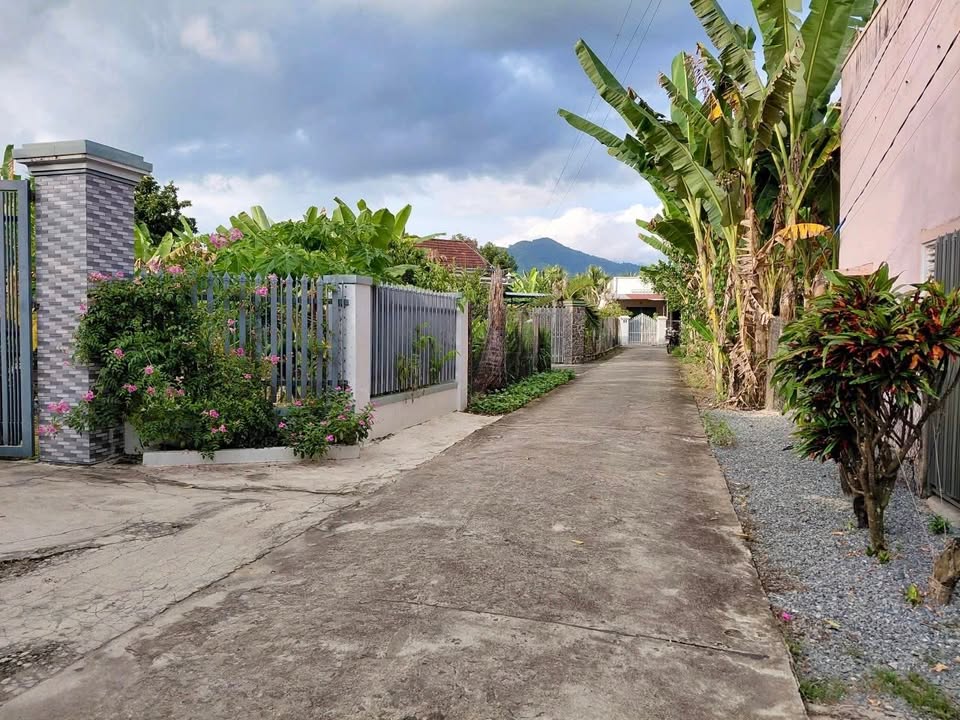 Đất thổ cư Diên Phước 159.5m² giá chỉ 1.2 tỷ - Lô góc tuyệt đẹp!