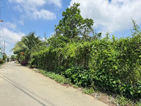 Đất Tân Bình Vĩnh Cửu 173m² giá 2.15 tỷ - Đầu tư sinh lời tuyệt vời!