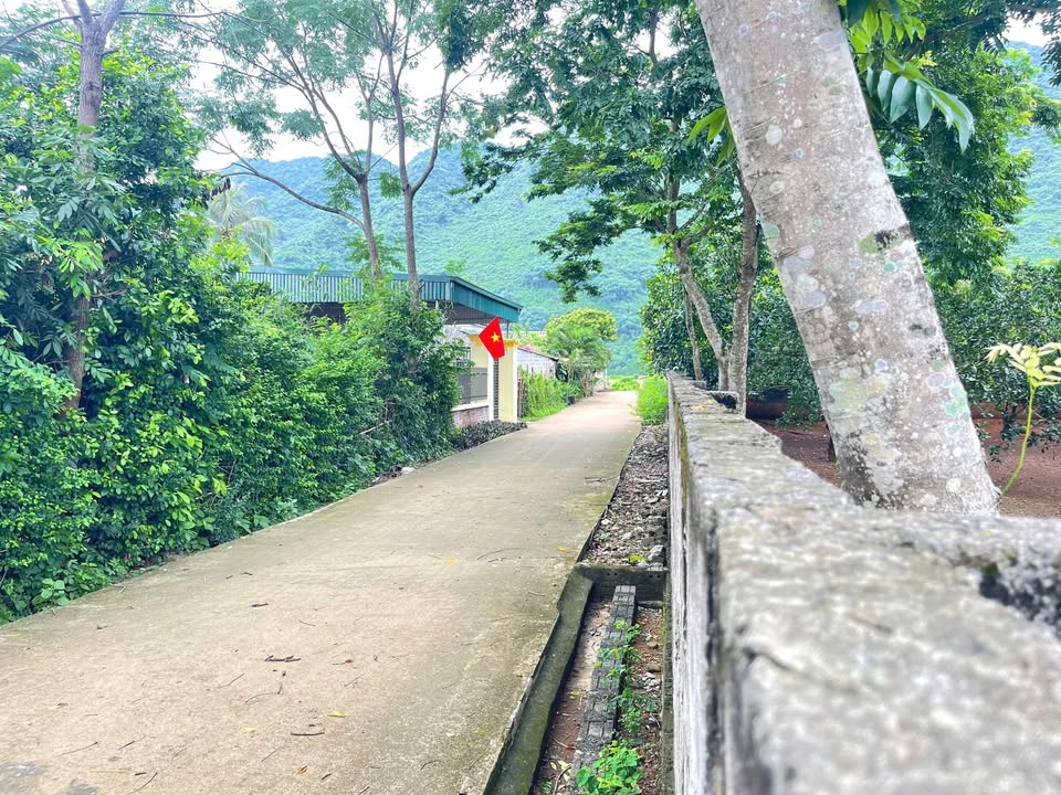 Đất thổ cư 150m² tại xóm Hổ, Hòa Bình - Giá chỉ 1 tỷ VND!