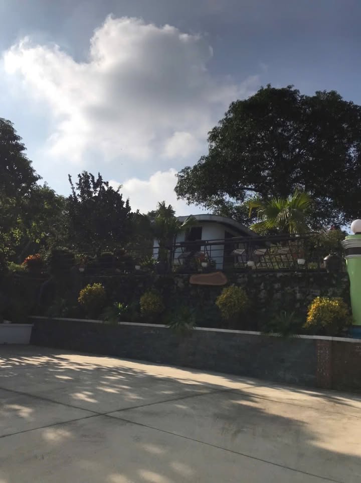 Nhà phố Lương Sơn Hòa Bình 1856m² giá 20 tỷ - Biệt thự nghỉ dưỡng đẳng cấp!