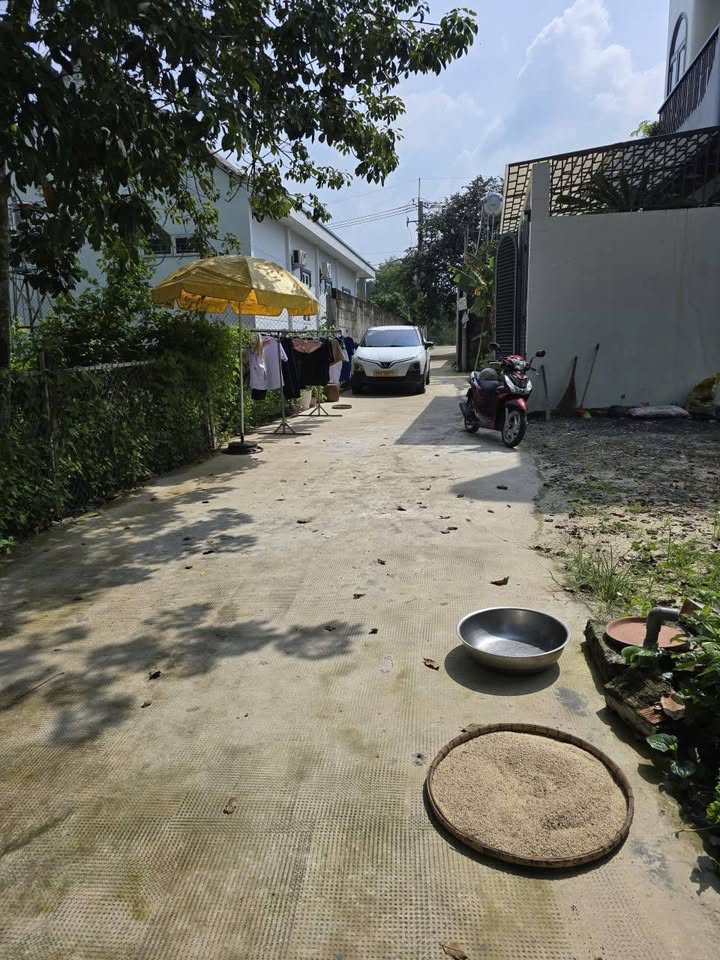 Đất nền xã Tân An Hội, huyện Củ Chi 1567m² giá chỉ 5.2 tỷ - Đầu tư sinh lời cao!