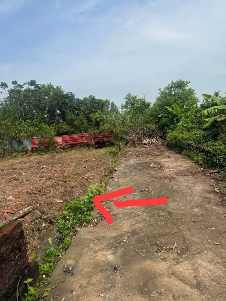 Đất nền xã Thái Dương, huyện Bình Giang 101m² giá 400 triệu - Đầu tư sinh lời ngay!