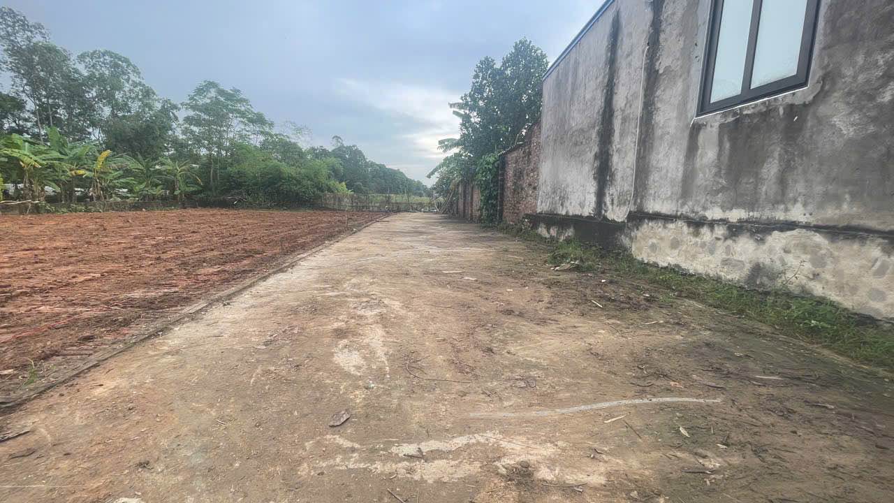 Đất phân lô Xuân Sơn, Sóc Sơn, Hà Nội 88,3m² giá 1,4 tỷ - Cơ hội đầu tư tuyệt vời!