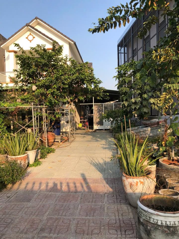 Nhà bán gấp tại đường D2, phường Chánh Mỹ, Thủ Dầu Một - Diện tích 514m² giá thỏa thuận!