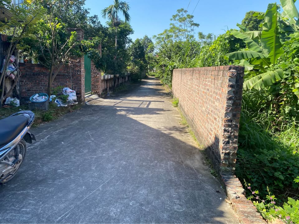 Đất nền Tân Minh Sóc Sơn 259.3m² - Đầu tư sinh lời ngay!