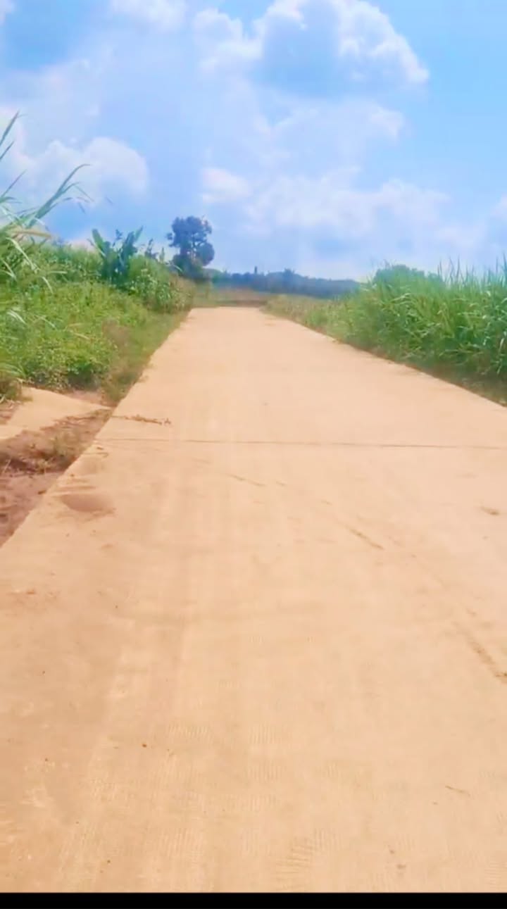 Đất Phú Hội Đức Trọng 204m² giá 1.08 tỷ - View Hồ Đại Ninh tuyệt đẹp!