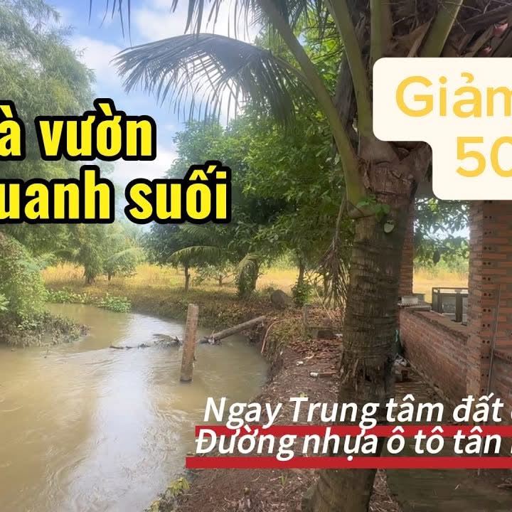 Nhà vườn 5 sào tại Long Tân, Đất Đỏ giá 6.55 tỷ - Không thể bỏ lỡ!