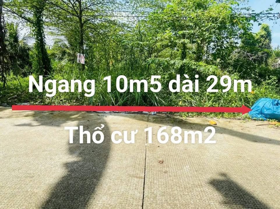 Đất nền Thới Sơn, Mỹ Tho 304m² giá chỉ 1,2 tỷ - Tiềm năng đầu tư cao!