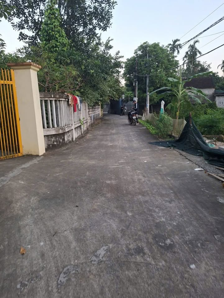 Đất tặng nhà tại phố Liêu Trung, Nho Quan 542.9m² - Đường ô tô vào tận nơi!