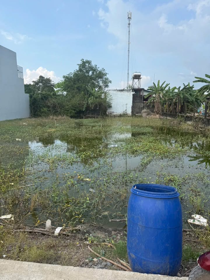 Đất thổ cư 150m² tại Đức Hòa Long An - Sổ đỏ chính chủ, giá 1.5 tỷ!