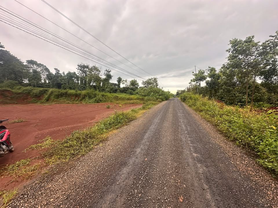 Đất nền Cư Né, Krông Búk 2400m² giá 2.8 tỷ - Đường đá dăm rộng rãi!