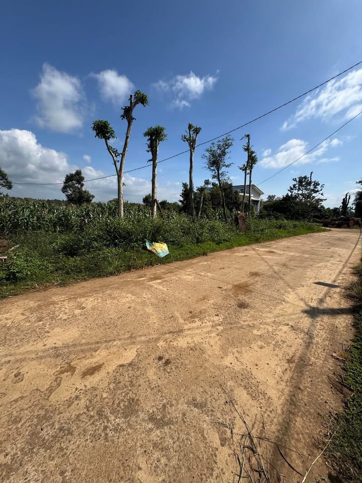 Lô đất đẹp mặt tiền đường Yết Kiêu, Buôn Hồ, 666m² giá 1.58 tỷ - Đầu tư sinh lời cao!