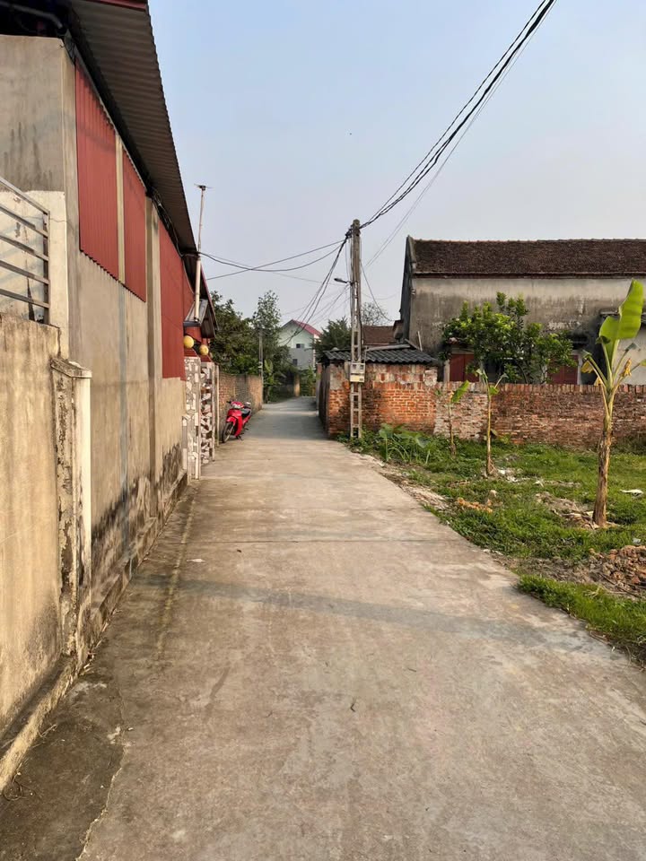 Đất nền Phường Trung Thành 115m² giá 890 triệu - Đầu tư sinh lời lý tưởng!